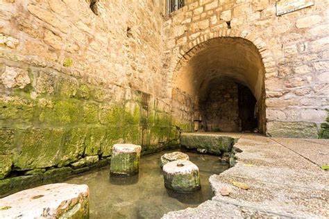 Tickets & Tours - Hezekiah's Tunnel (Siloam Tunnel), Jerusalem - Viator