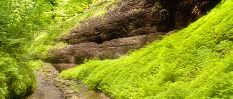 Thuringian Forest - The Green Hiking Paradise | Travelmyne.com