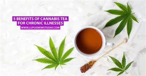 5 Benefits of Cannabis Tea for Chronic Illnesses - Lupus News Today