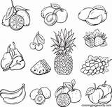 Printable Fruit sketch template