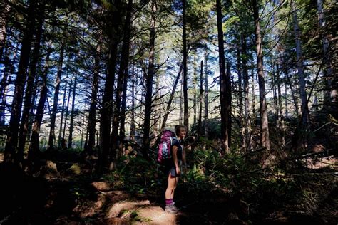 Hiking the Juan de Fuca Trail on Vancouver Island | Her Wild Way