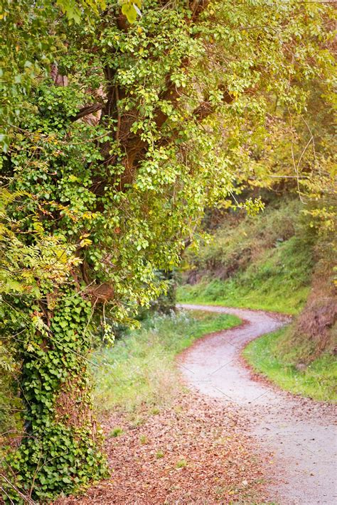 Autum forest pathway | Nature Stock Photos ~ Creative Market