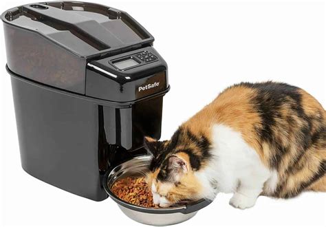 Best Outdoor Automatic Cat Feeders Reviewed (2021) | Raise a Cat