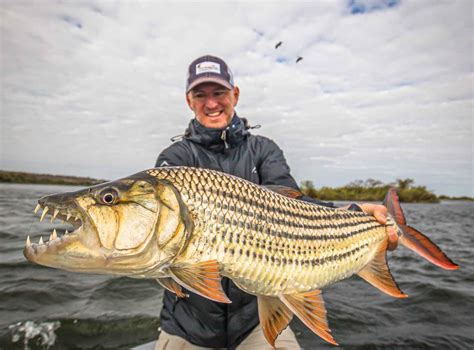 Tigerfish 101: Chasing one of nature's fiercest predators on the fly | Hatch Magazine - Fly ...