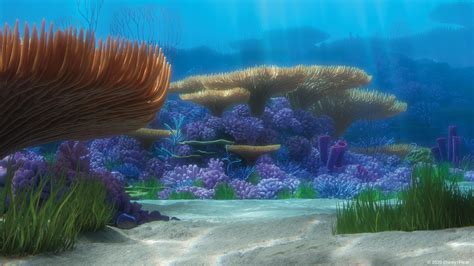 Finding Nemo coral reef - Virtual Backgrounds