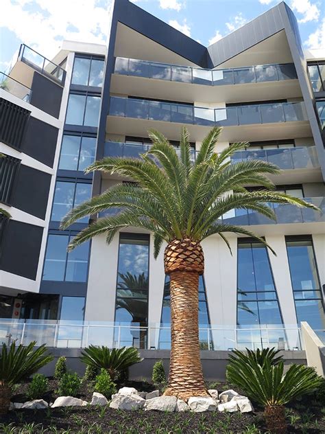 Sandy Hills Apartments - Canary Island Palms