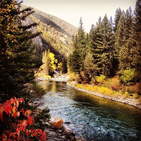 Gallatin River, Bozeman, MT | Montana vacation, Travel around the world, Visit yellowstone