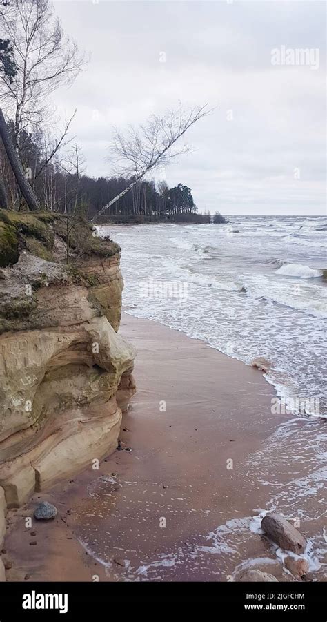 Sandstone cliffs at the Baltic seashore. Sandstone cliffs and caves at ...