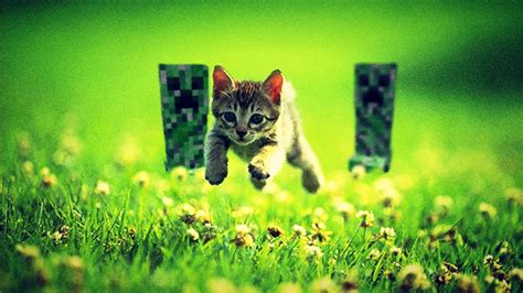 🔥 Download Cats Funny Minecraft Running Away Wallpaper by @eallen13 | Minecraft Cats Wallpapers ...