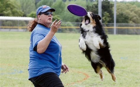 2018 Tyler Frisbee Dog and Disc Championship | The Humane Society's ...