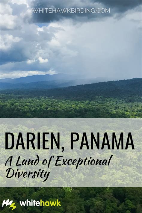 Darien, Panama: A Land of Exceptional Diversity | Whitehawk Birding | Darien panama, Panama, Darien