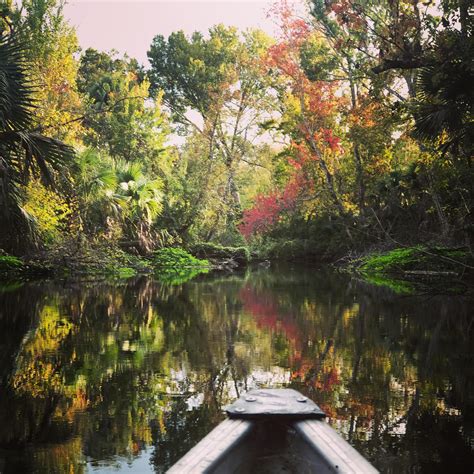 Canoeing to our camp site in Wekiva Springs. : r/camping