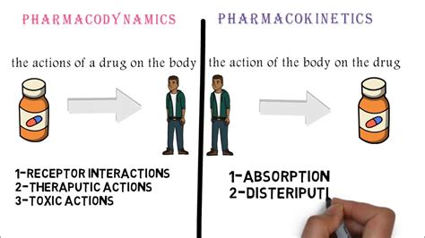 General pharmacology ( pharmacokinetics and pharmacodynamics ) - YouTube