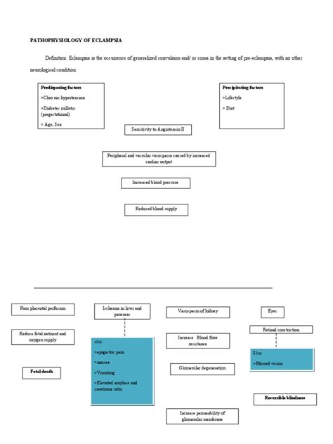 PaThoPhysiology of Eclampsia | Animal Anatomy | Health Sciences