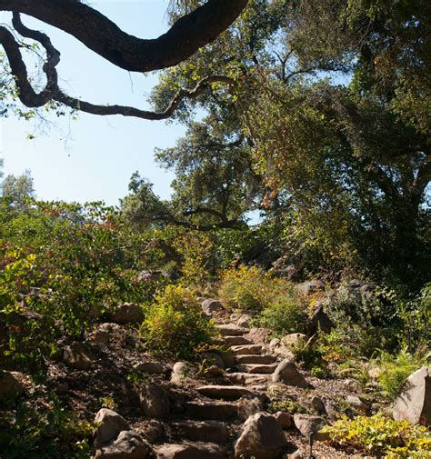 Visit Santa Barbara Botanic Garden & Make a Reservation - Santa Barbara Botanic Garden