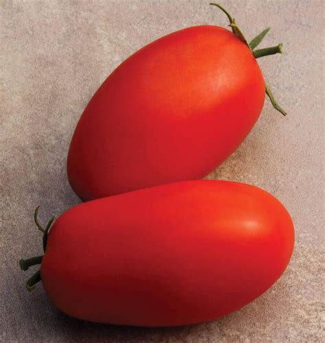 Supremo Roma Tomato Seeds – West Coast Seeds