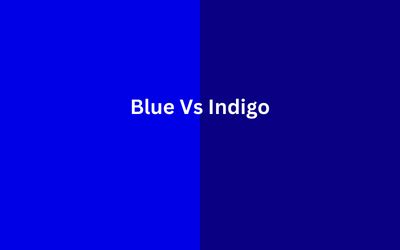 Blue Vs Indigo: What are the Differences?