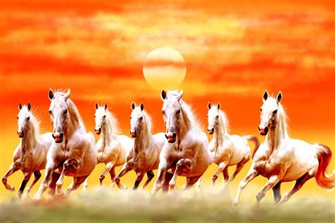 7 Horse Running Images Hd Wallpaper