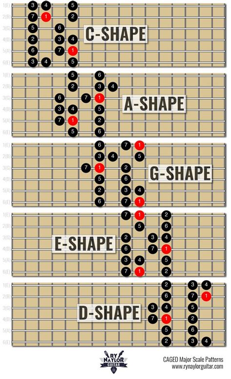 The Major Scale on Guitar — Guitar Music Theory Lessons by Ry Naylor ...