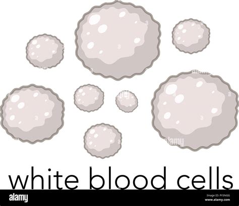 White blood cell drawing hi-res stock photography and images - Alamy