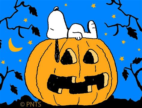 Happy Halloween | Snoopy halloween, Snoopy easter, Snoopy