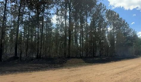 Louisiana Town Evacuates Amid Extreme Drought and Wildfires - Roshbytes