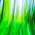 Green Aura Color: Delving into it’s Spiritual Meaning and Symbolism - SYMBOLSHUB.ORG