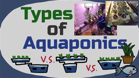 Types of Aquaponic Systems - YouTube