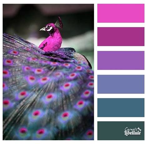 Beauty of the peacock Colour Pallete, Color Palettes, Color Chip, Paint Palette, Colored Pencils ...