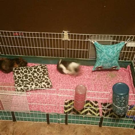 2x5 2x6 3 layer Fleece bedding pet cage liner guinea pig | Etsy