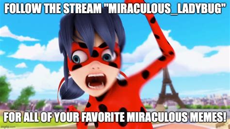 Total 85+ imagen memes de miraculous en español - Viaterra.mx