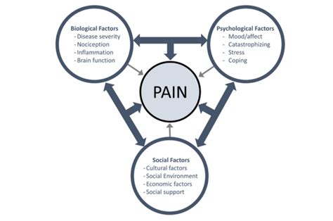 Have We Ballsed Up The Biopsychosocial Model? - The Massage Therapist Development Centre