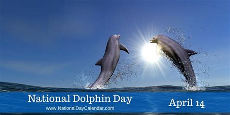 NATIONAL DOLPHIN DAY - April 14 | National day calendar, Dolphins, National calendar