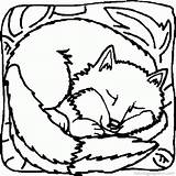 Free Fox Coloring Pictures Download Png  sketch template