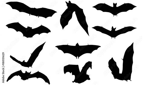 Vampire bat Silhouette Vector Graphics Stock Vector | Adobe Stock