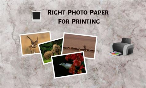 5 Different Photo Printing Paper Types - PhotographyAxis