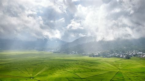 Rice prices are rising amid rising food inflation, export bans