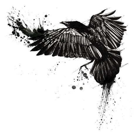 Tattoo Common raven Trash Polka Crow - raven png download - 1200*1200 - Free Transparent Tattoo ...