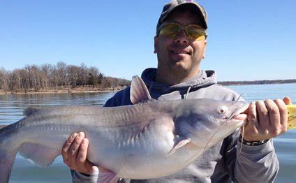 Grand Lake St. Marys Fishing Report : Rainbow Fishes - Fishing Port