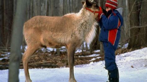 Prancer Returns (2001) | MUBI