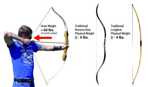 how to reduce draw weight on a recurve bow - brownandbluewallpaperforwalls