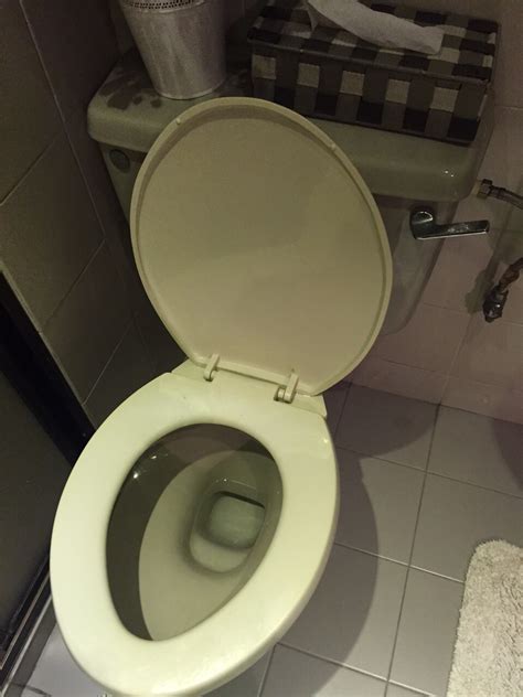 Reliable Plumber Types Of Toilet Bowl - SG Plumbing