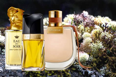 5 Best Chypre Floral Perfumes For Women | Viora London