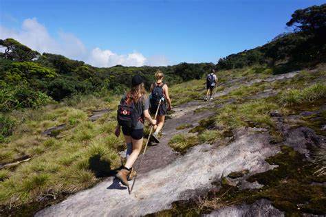 Horton Plains National Park is a breathtakingly beautiful protected area 1