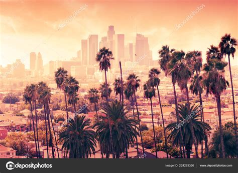 Beautiful Sunset Palm Trees Los Angeles California Stock Photo by ...