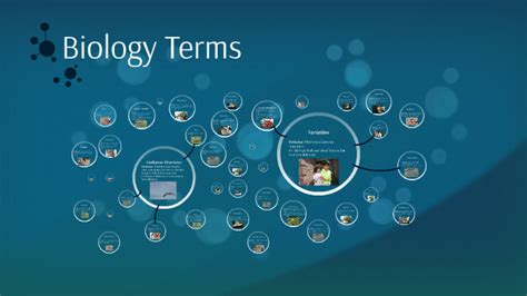 Biology Terms by Sarah Kaleem on Prezi