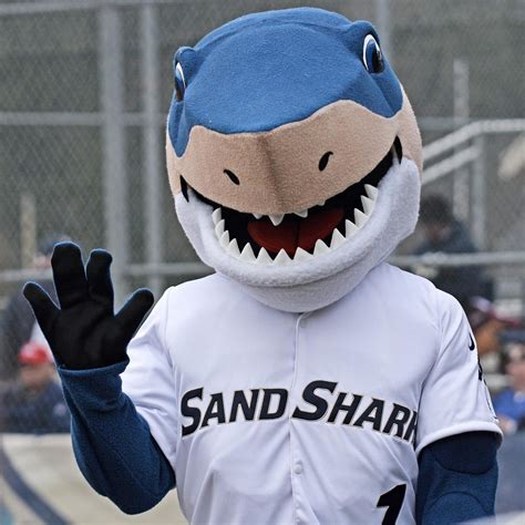 Shark | Mascot Hall of Fame