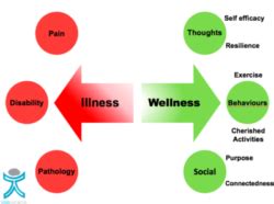 Applying the BioPsychoSocial model in clinical practice! - Cor Kinetic