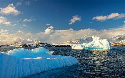 Antarctic glaciers are melting at highest rate in 5,500 years - Earth.com