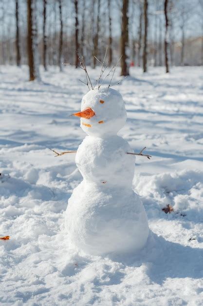 Premium Photo | Funny snowman in park active outdoors leisure with ...